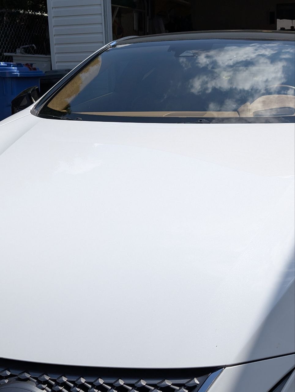 Lexus finished detail — spotless exterior