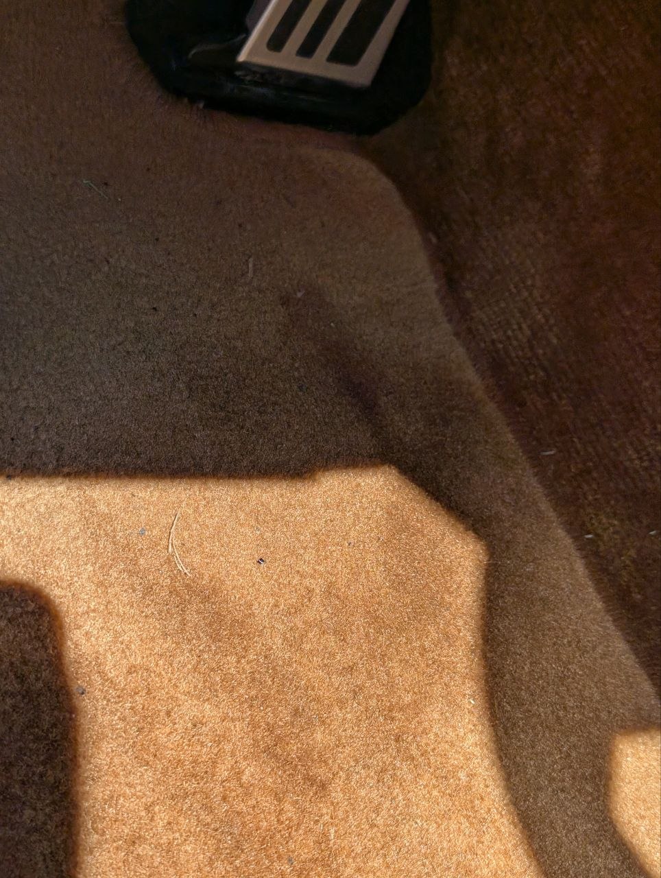 Lexus finished detail — pristine condition